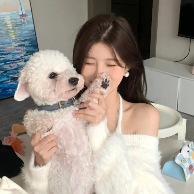 我可能不会爱你